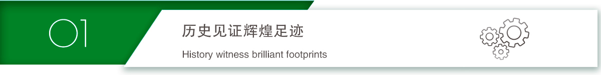 山东由米 山东由米